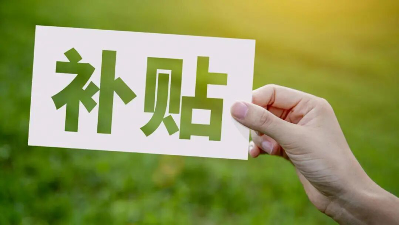 中国车市，这才卷到哪