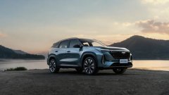 <strong>最好卖的燃油SUV是国产车，合资连</strong>