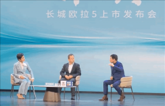 魏建军：隐藏式门把手风阻降了0.001但增重8公斤