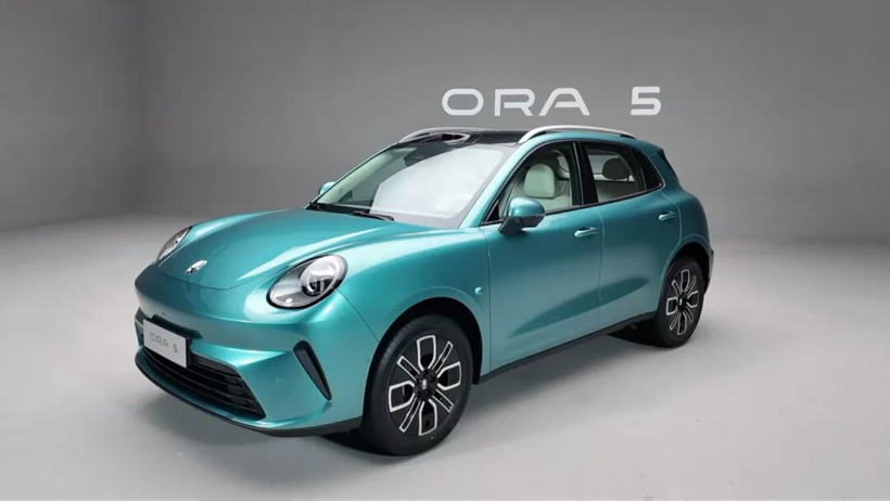 欧拉为何没造出长城的海鸥和星愿？